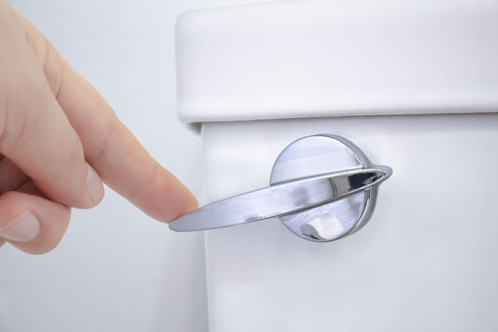 A person flushing a toilet